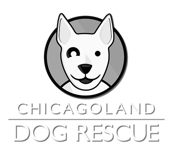 Dog Rescue Logo